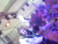 SAM_1758