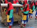 IMG_3437.JPG