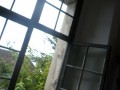 SAM_0350