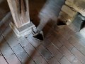 SAM_0401