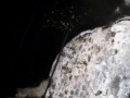 SAM_0402