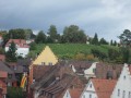 SAM_0433