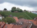 SAM_0434