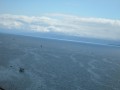 SAM_0444