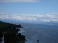 SAM_0446