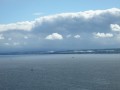 SAM_0447