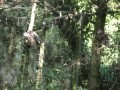 SAM_2358