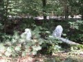 SAM_2364