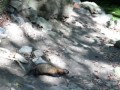 SAM_2404