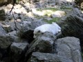 SAM_2406
