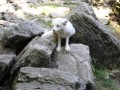SAM_2407