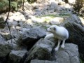 SAM_2408