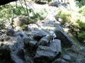 SAM_2410